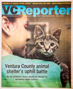 vc-reporter-cover